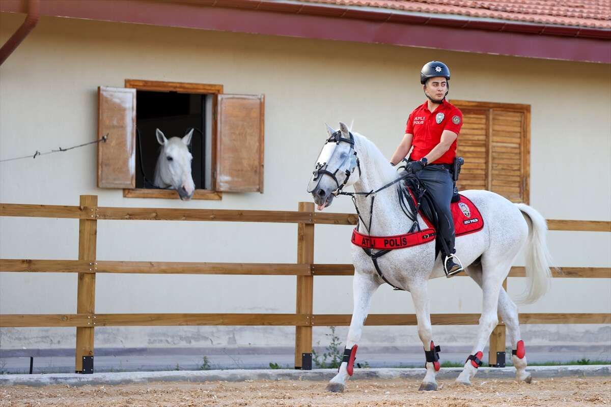 Konya sokaklarının "heybetli" devriyeleri! 4 aylık zorlu eğitimle hazırlanıyorlar 11